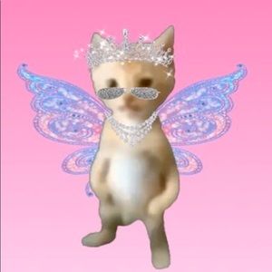 Meet your Posher, Eden iley rose